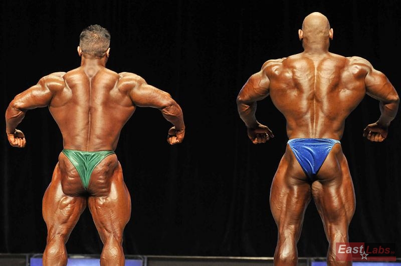 Baitollah Abbaspour, Fred Smalls