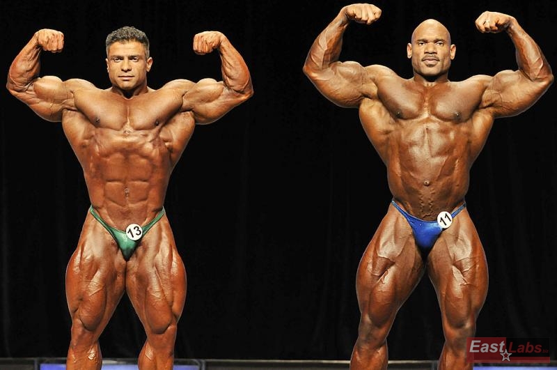 Baitollah Abbaspour, Fred Smalls