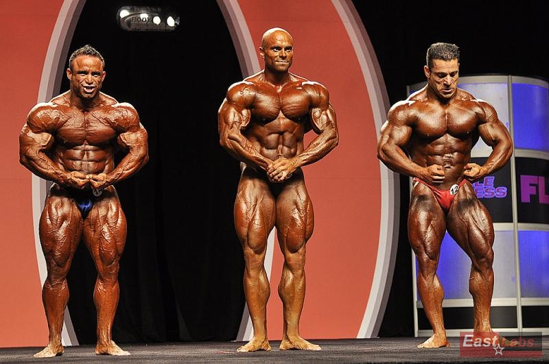 Jose Raymond, Luk� Osladil, Fernando Noronha