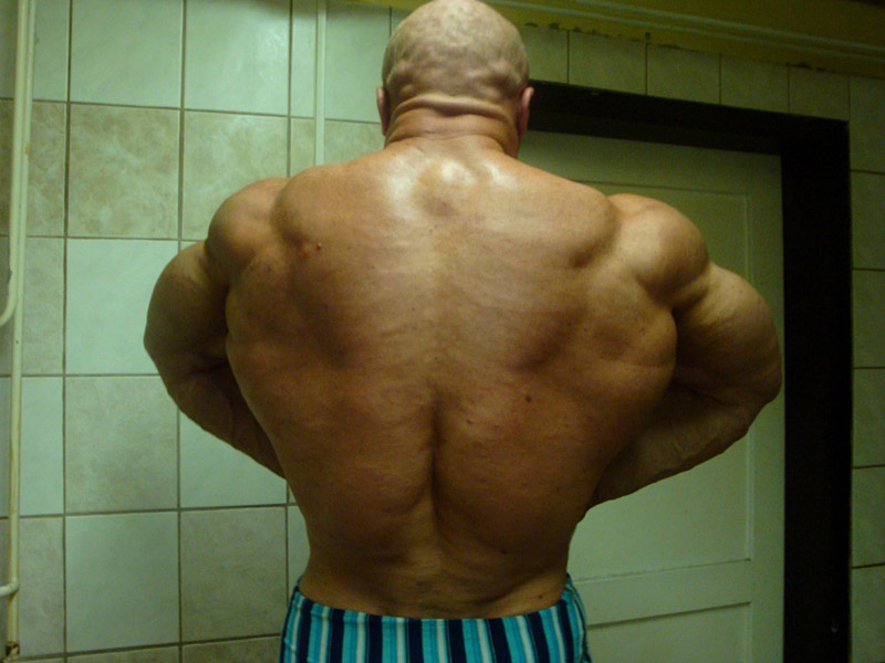 Jaroslav Paseka - aktu�ln� forma p�ed Arnold Classic Europe 2012