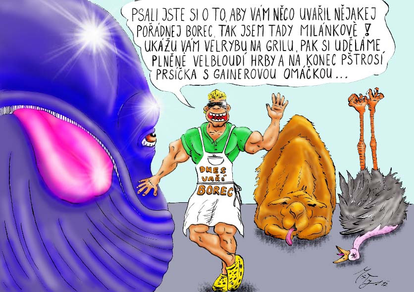 Autor: Martin Nov�k