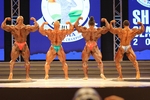 Toney Freeman, Phil Heath, Kai Greene, Roelly Winklaar