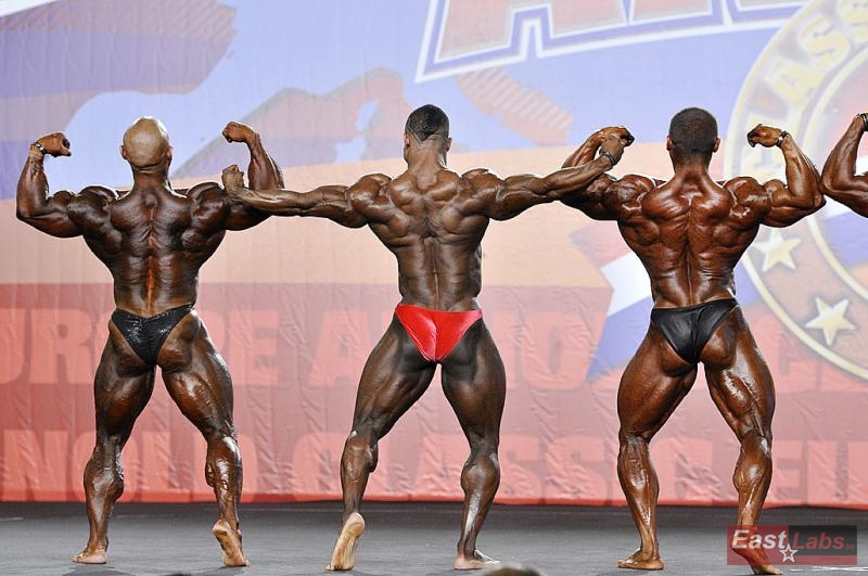 Jose Angel Bustamante Clemente, Ricardo Correia, Alexander Kodzoev