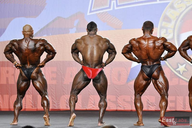 Jose Angel Bustamante Clemente, Ricardo Correia, Alexander Kodzoev