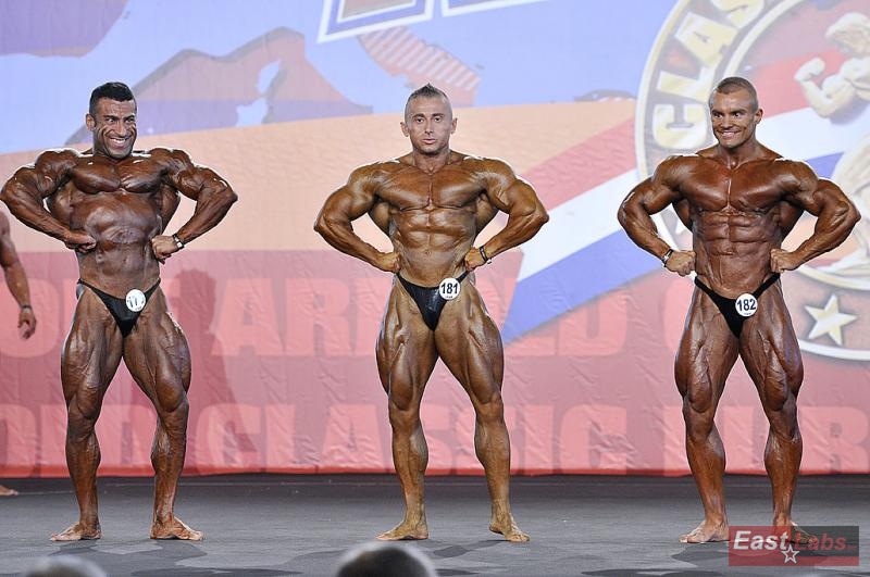 Morteza Norouzi, Maggiore Corrado, Karol Malecki