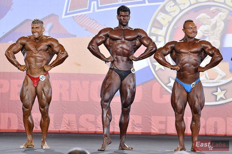 Raul Gheorge Maghir, David Martinez Campos, Yury Burnaev