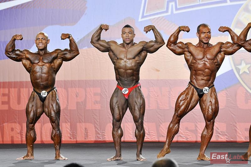 Jose Angel Bustamante Clemente, Ricardo Correia, Alexander Kodzoev