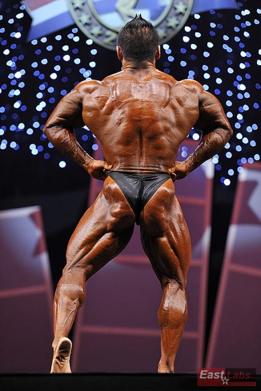 Hidetada Yamagishi
