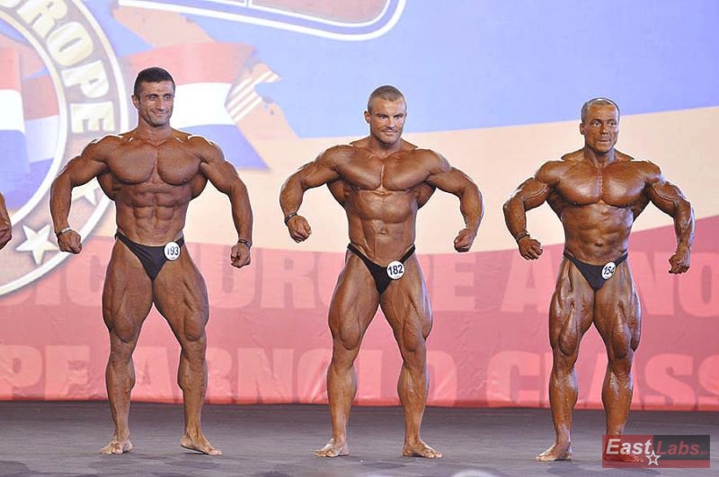 Ahmad Paydar, Karol Malecki, Jos� Carlos Santos
