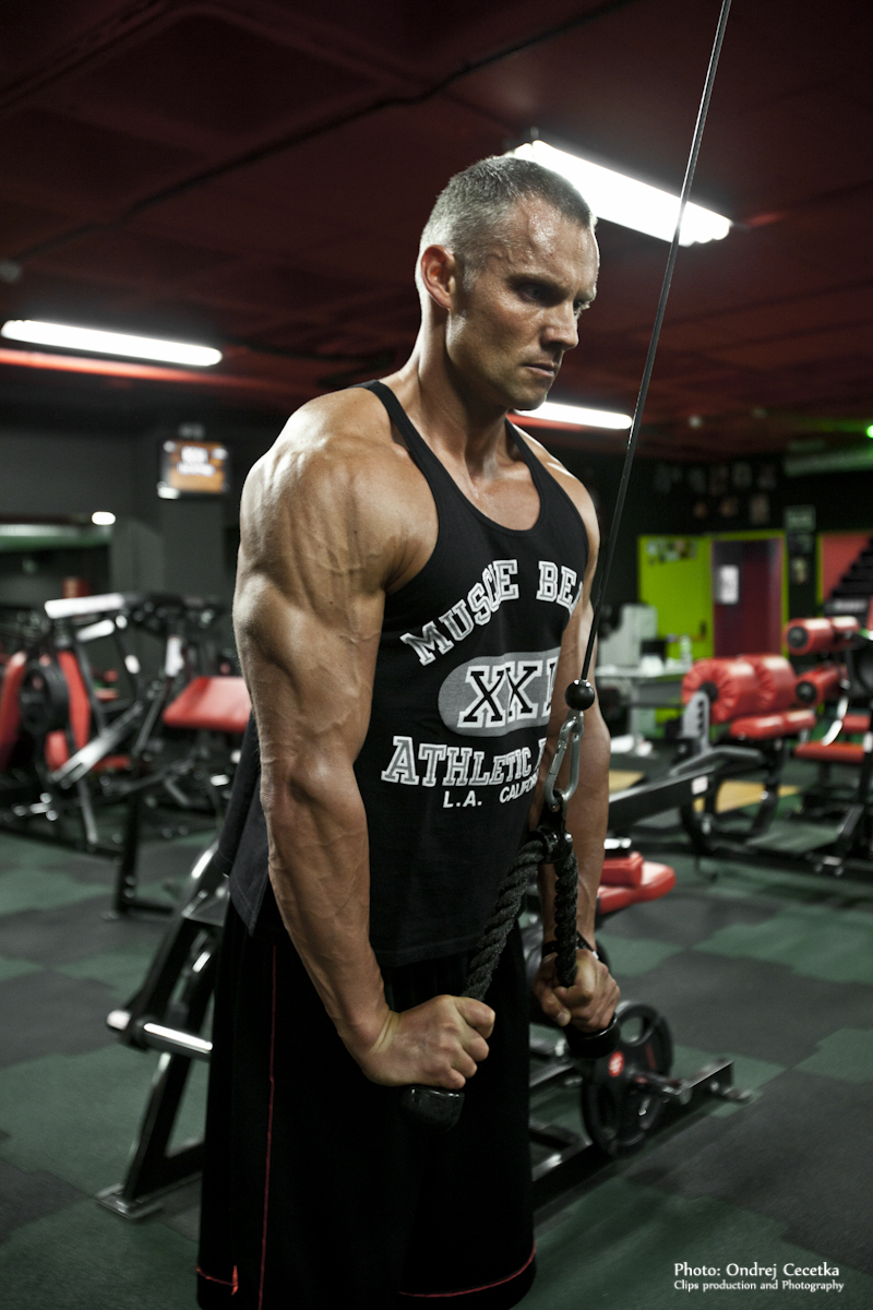 Martin Mester