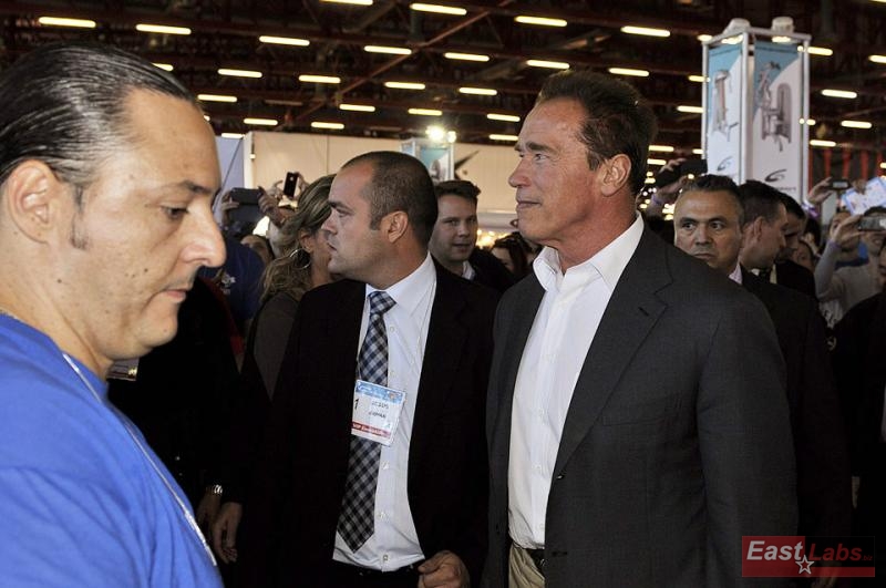 Arnold Schwarzenegger