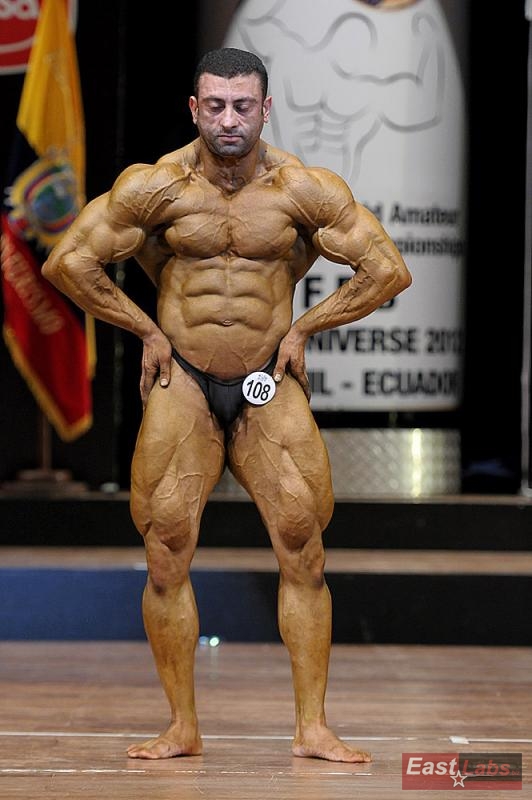 Mohamed Elwan 