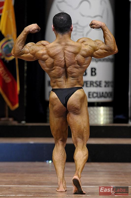 Mohamed Elwan 
