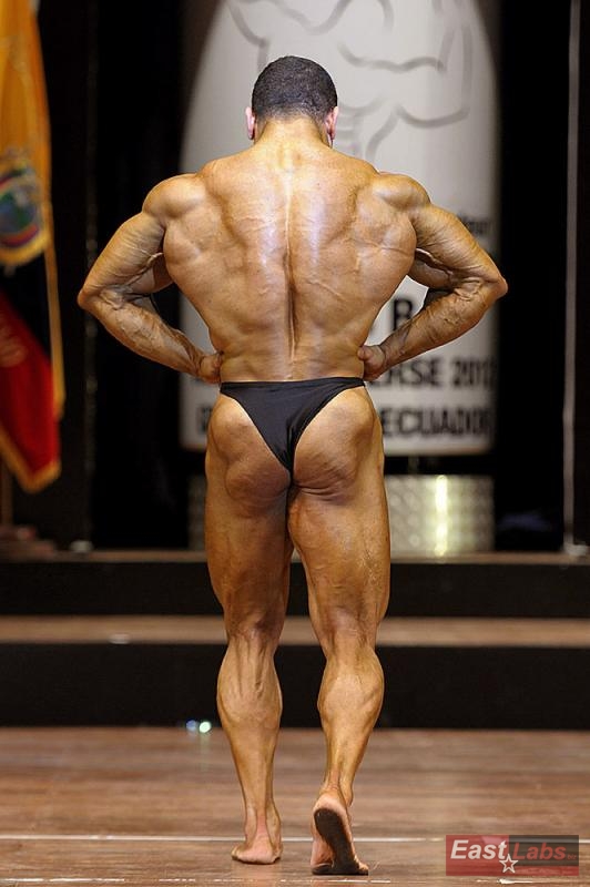 Mohamed Elwan 