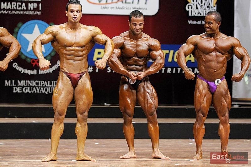 Abdelrahman Gaber, Ahmed El Sadany, Raul Martinez Briceño 
