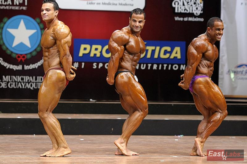 Abdelrahman Gaber, Ahmed El Sadany, Raul Martinez Briceño 