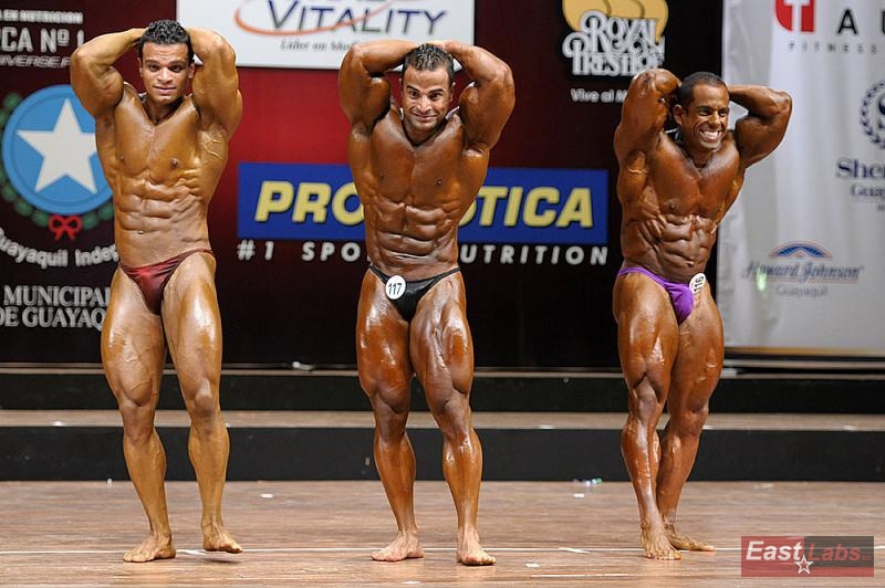 Abdelrahman Gaber, Ahmed El Sadany, Raul Martinez Briceño 