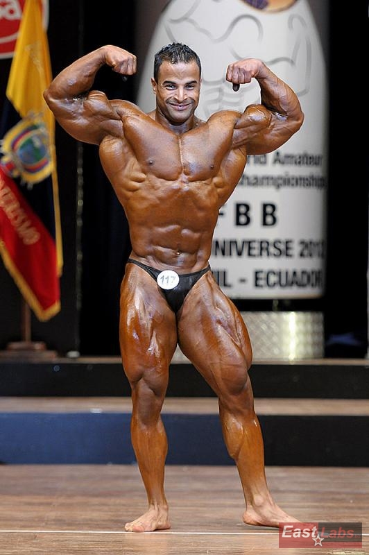 Ahmed El Sadany 