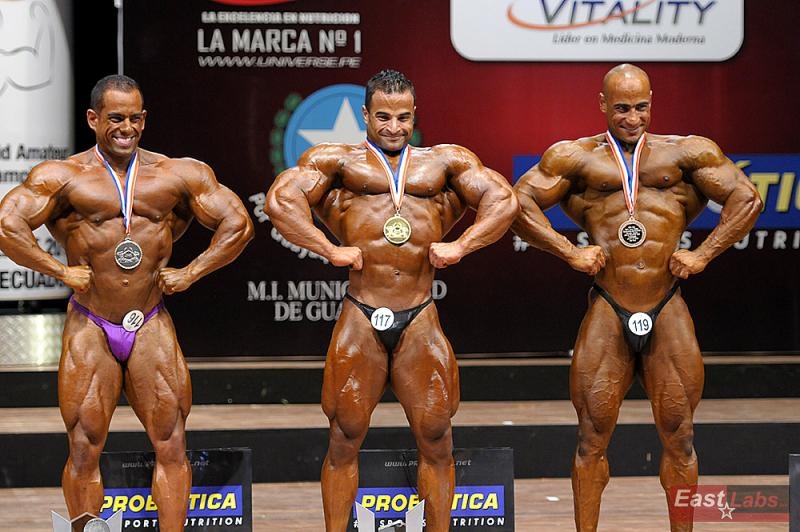 Raul Martinez Briceño, Ahmed El Sadany, Ashraf Bahnasawy 