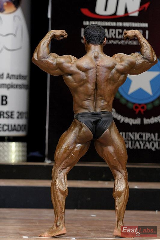 Mohamed Kotb 