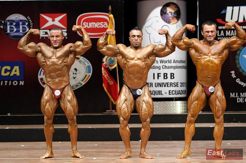 Ossama Ashour, Salaheddin Abufanas, Andriy Kukharchuk