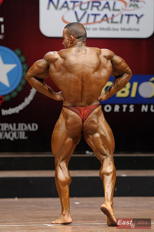 Ossama Ashour 