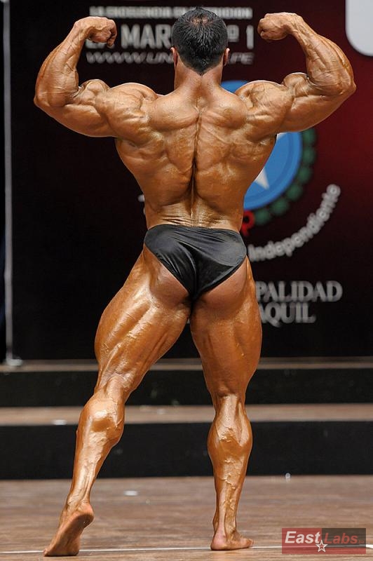 Salaheddin Abufanas