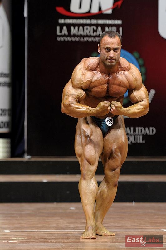 Ahmad Aliverdi 
