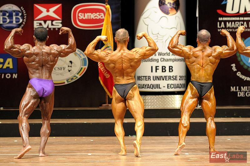 Gamal El Komy, Igor Ko�i�, Jos� Carlos Santos