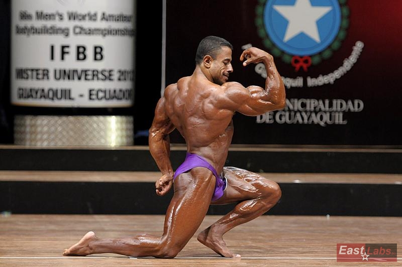 Gamal El Komy 