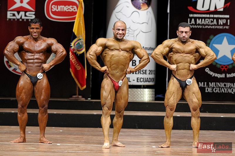 Randolph Naranjo, Sherif El Shiwy, Mohamed Elwan 