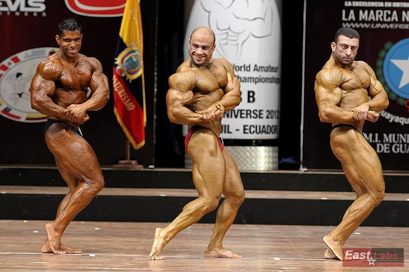 Randolph Naranjo, Sherif El Shiwy, Mohamed Elwan 