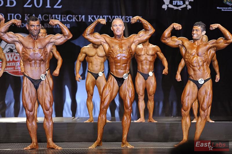 Thomas Schnelldorfer, Robert Majewski, Mahdi Zatparvar Haghi