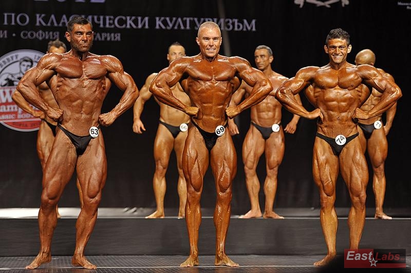Thomas Schnelldorfer, Robert Majewski, Mahdi Zatparvar Haghi