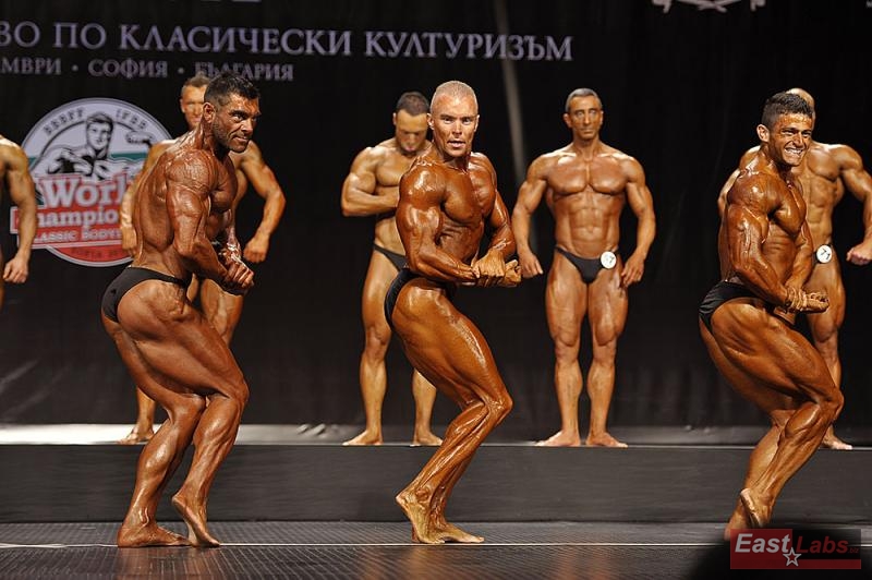 Thomas Schnelldorfer, Robert Majewski, Mahdi Zatparvar Haghi