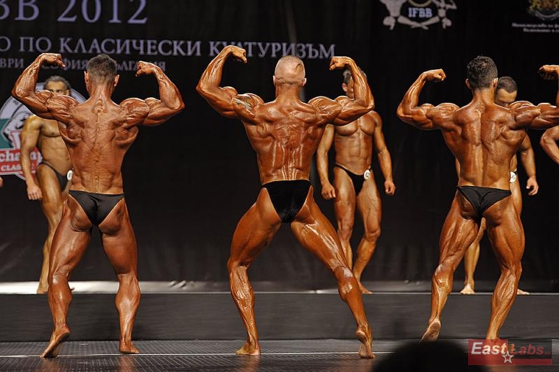Thomas Schnelldorfer, Robert Majewski, Mahdi Zatparvar Haghi