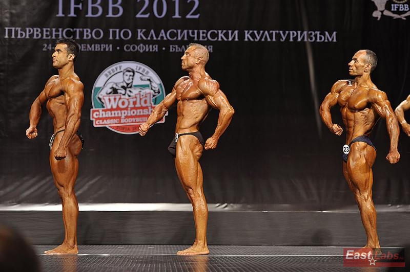 Javad Soltani, Hakan Camci, Mehdi Yarali