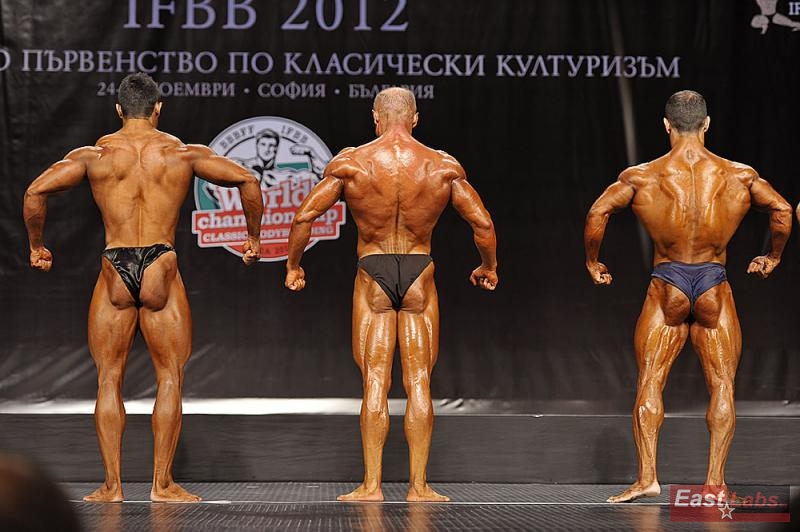Javad Soltani, Hakan Camci, Mehdi Yarali