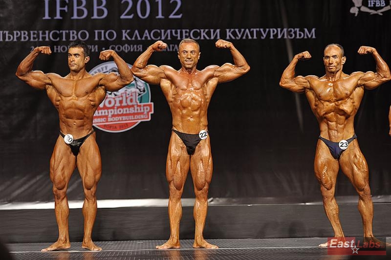 Javad Soltani, Hakan Camci, Mehdi Yarali