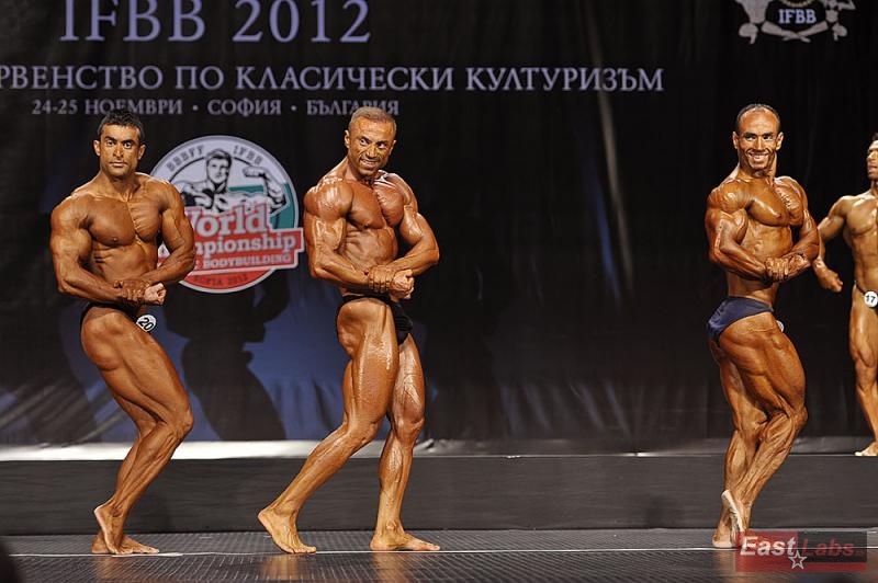 Javad Soltani, Hakan Camci, Mehdi Yarali