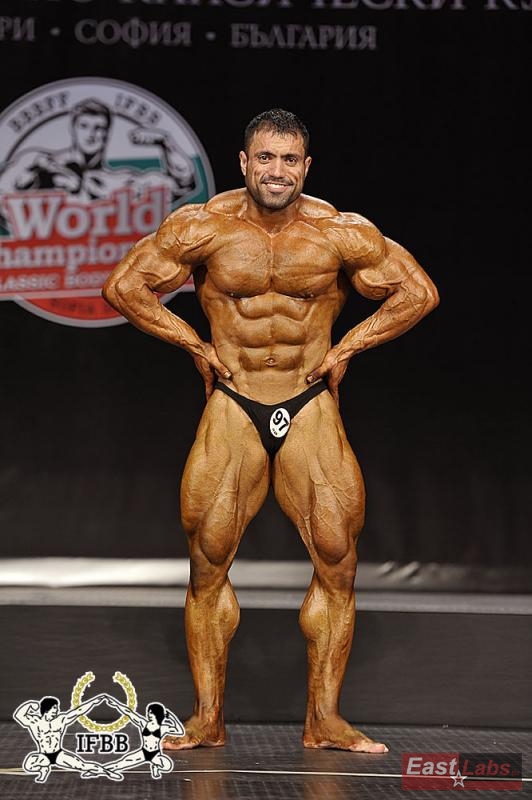 Mehdi Hatami 