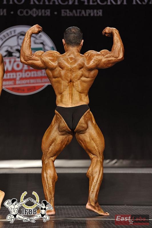Mehdi Hatami 