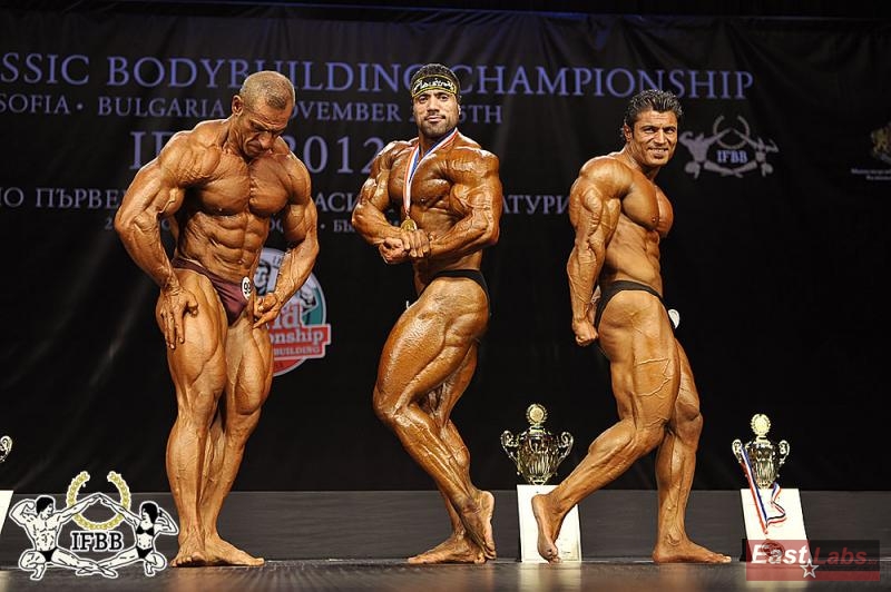 Hamdullah Aykutlu, Mehdi Hatami, Mahmut Irmak