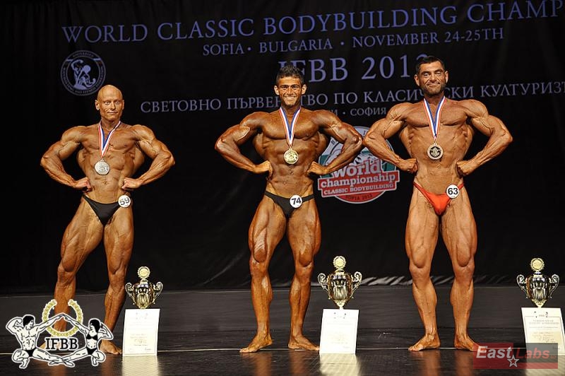 Rosen Ivanov, Mahdi Zatparvar, Thomas Schnelldorfer