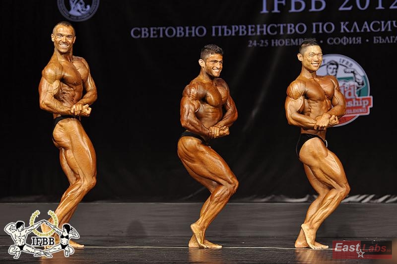 �ubo� Mali��k, Mahdi Zatparvar, Jehyung Ryu