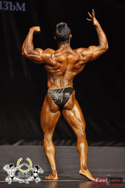 Javad Soltani