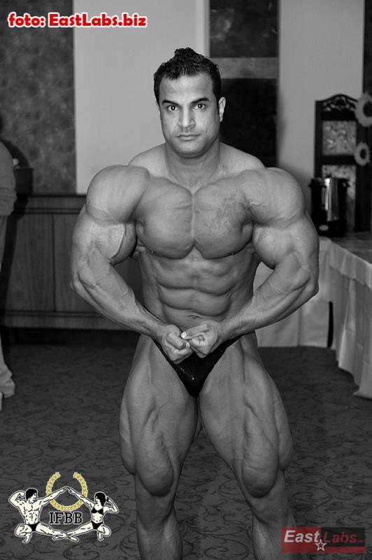 Ahmed El Sadany