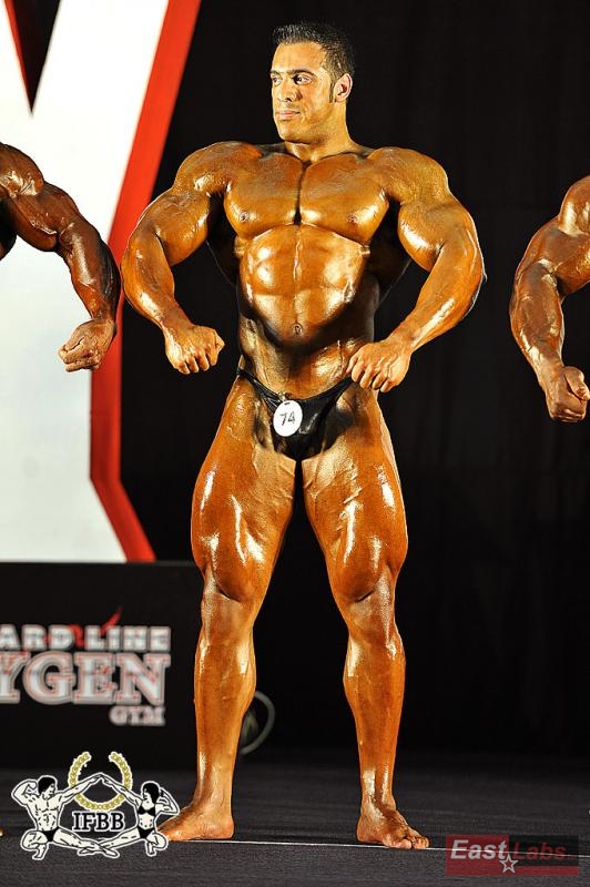 Sayed Ahmad Alrefaei