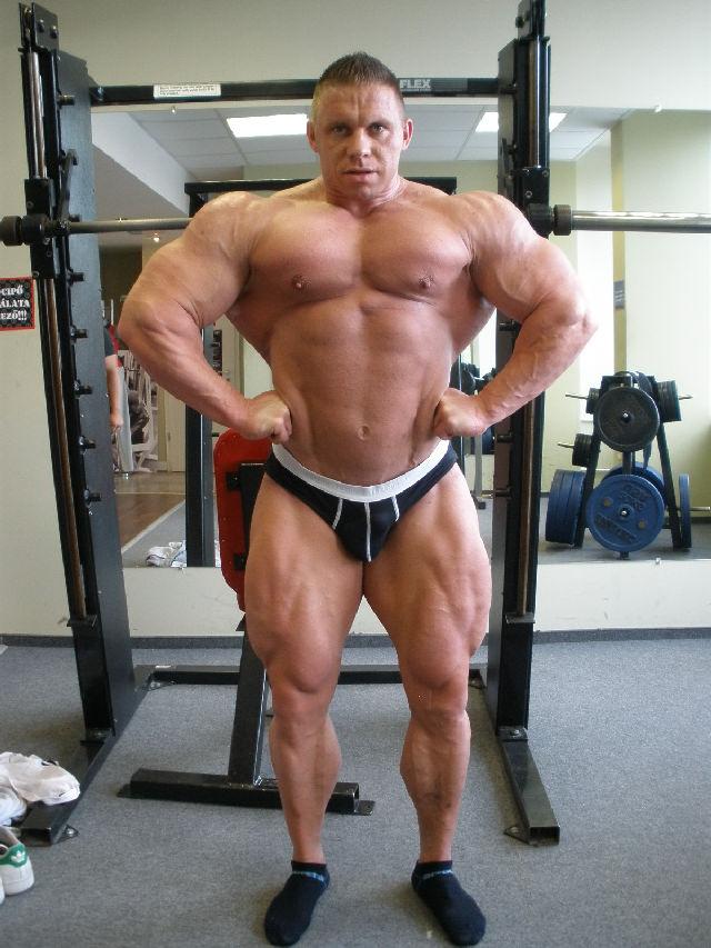 Daniel Toth