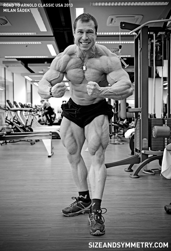 Milan ��dek - aktu�ln� forma 8 t�dn� p�ed Arnold Classic Amateur 2013